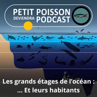S05E05 Les différents étages de l'océan cover