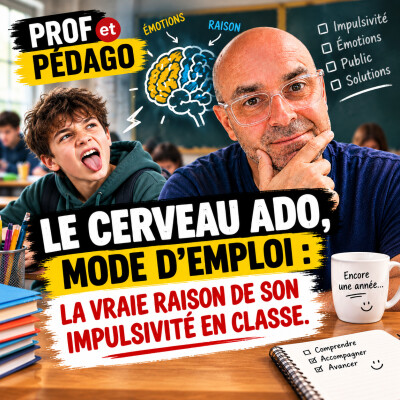 Le cerveau ado, mode d'emploi : la vraie raison de son impulsivité en classe cover