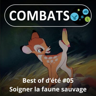 BEST OF D'ÉTÉ #05 : Soigner la faune sauvage 5/13 cover