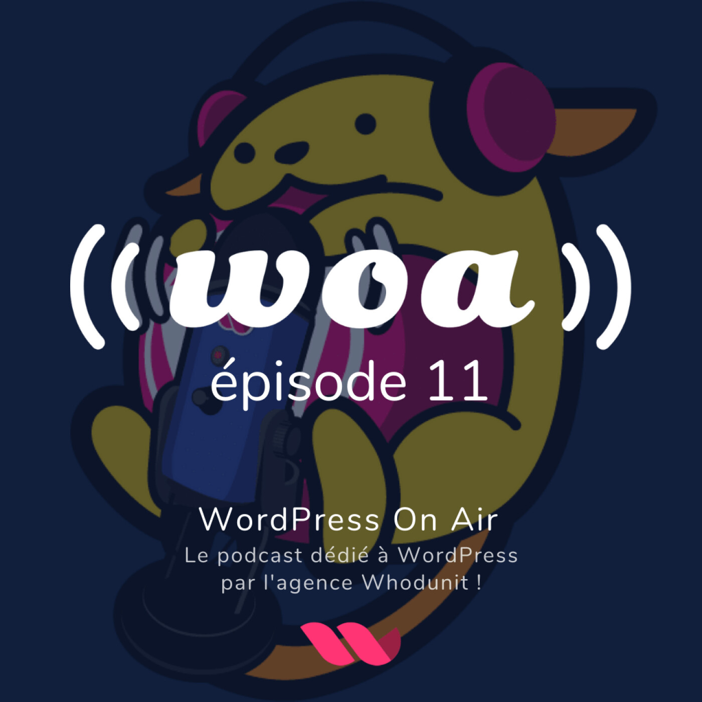WOA! (WordPress On Air) #11 - Alexandre Derocq - Parlons newsletter avec Acymailing