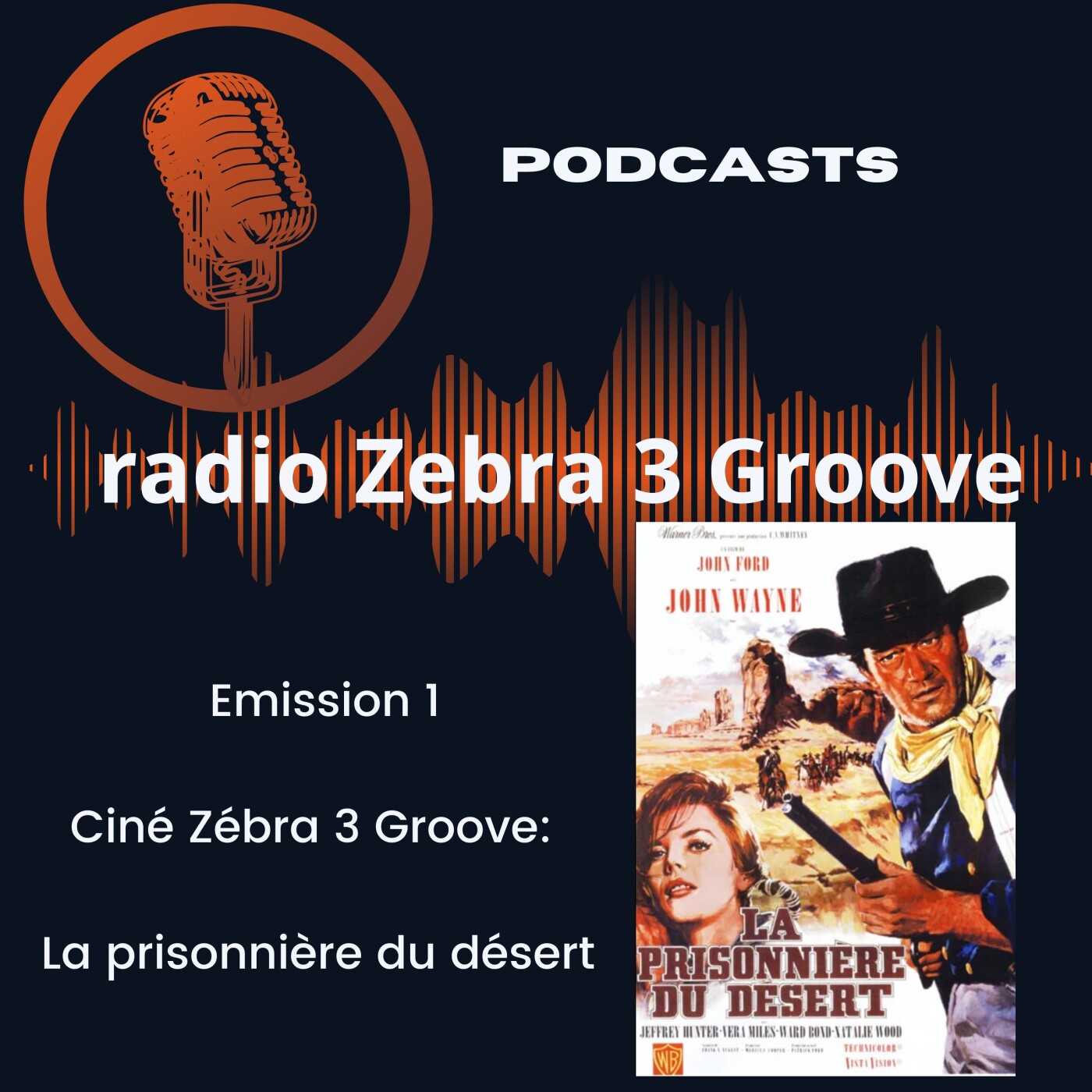 Radio Zébra 3 Groove Emission Ciné Zébra 3 : la prisonnière du désert episode artwork