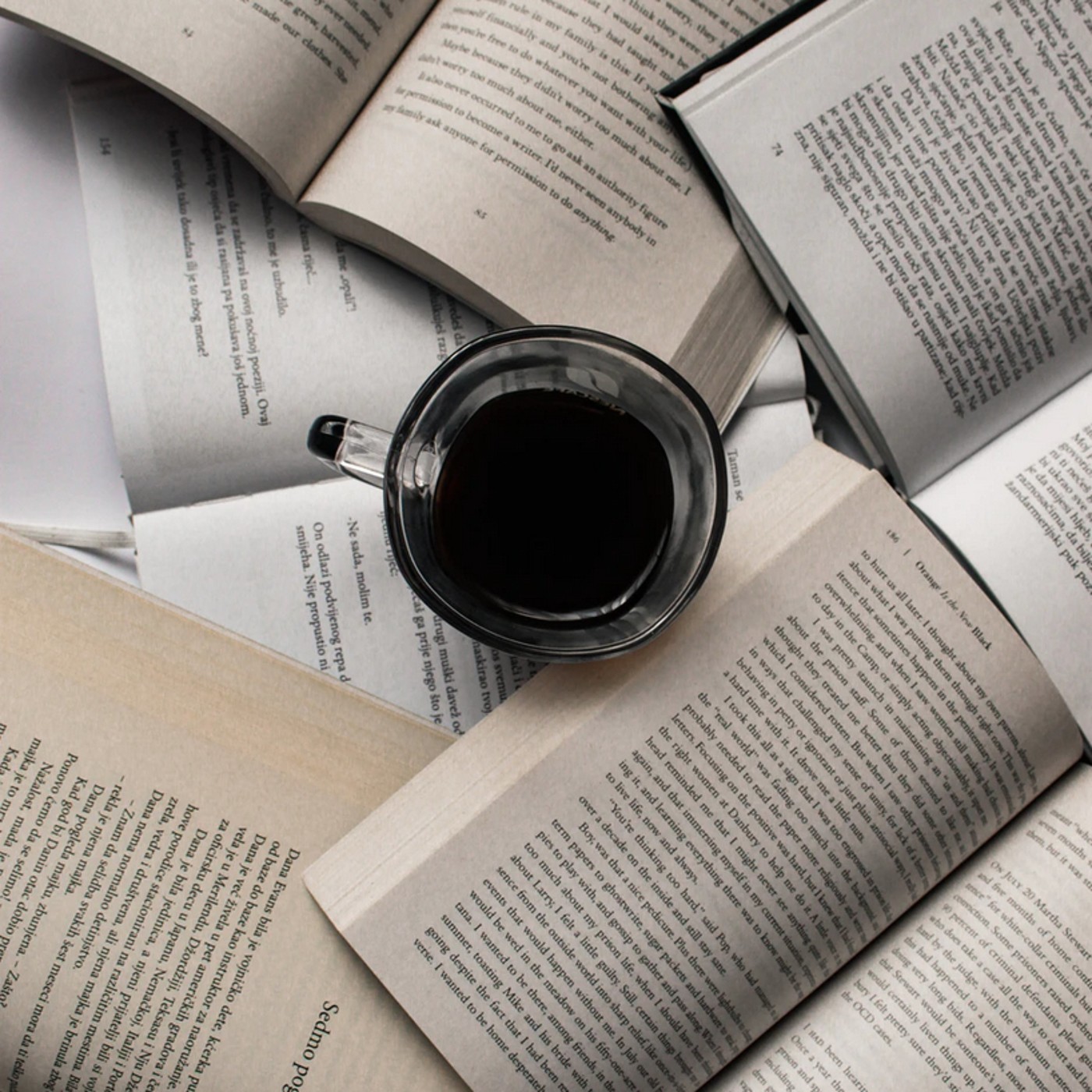 Le pur-sang bai, d'Annie Proulx | Quelle nouvelle ?