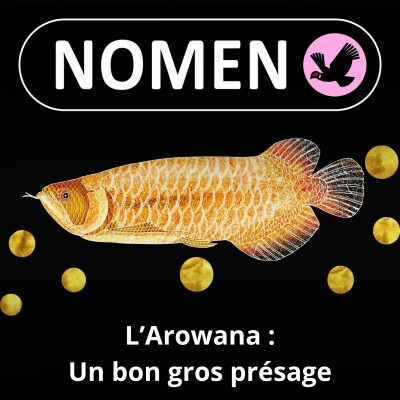 BEST OF D'ÉTÉ #26 : L'Arowana, un "poisson-dragon" porte-bonheur et "feng shui" cover