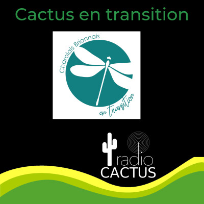 Cactus en Transition / Atelier apiculture avec Aurore et David (mars 2023) cover