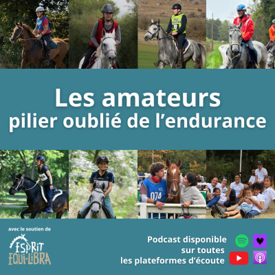 Les amateurs, pilier oublié de l'endurance 1/2 cover