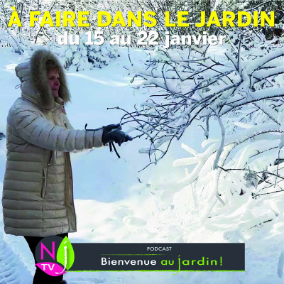 QUE FAIRE DANS LE JARDIN DU 15 AU 22 JANVIER ? cover
