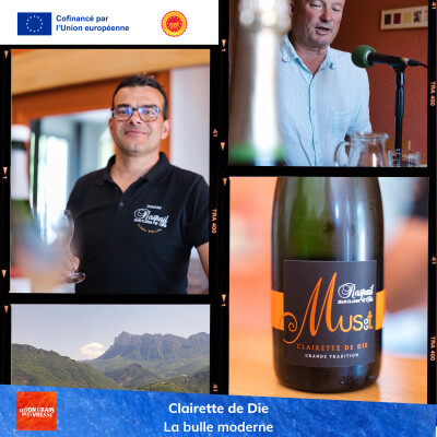 Clairette de Die : la bulle moderne cover