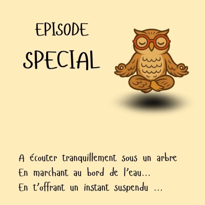 Méditation d'été cover