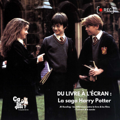 #45 Du livre à l'écran : la saga Harry Potter cover
