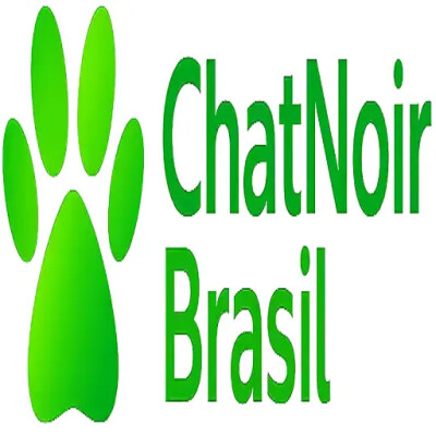 Install Chat Noir Brasil APK for True Digital Privacy cover
