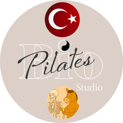 🇹🇷  🐎 Atın Gözünden Boyun ve Denge Rehberi - Cervical Spine cover