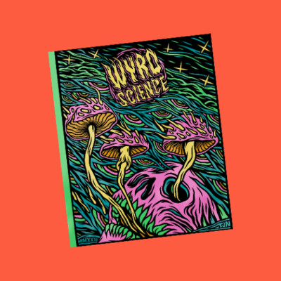 Wyrd Science magazine is levelling up cover