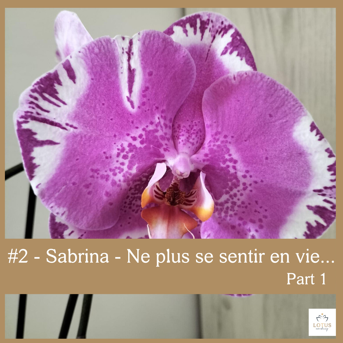 Allo Warrior. Relations toxiques sans filtres