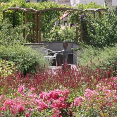 Alzheimer : une thérapie près de la nature cover