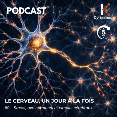 Episode #9 - Le stress : l’alarme, les hormones et le cerveau cover