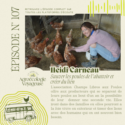 #107 Heidi Carneau 🐓 Sauver les Poules de l'Abattoir et Créer du Lien cover