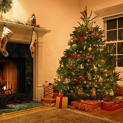 Choisissez au mieux votre sapin de Noël ! cover