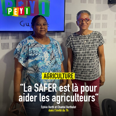 L'invité du 7h | 16 octobre 2024 | Chantal Berthelot / Sylvie Horth cover