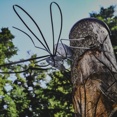 2026 démarre avec la randonnée des fourmis à Bruyères cover