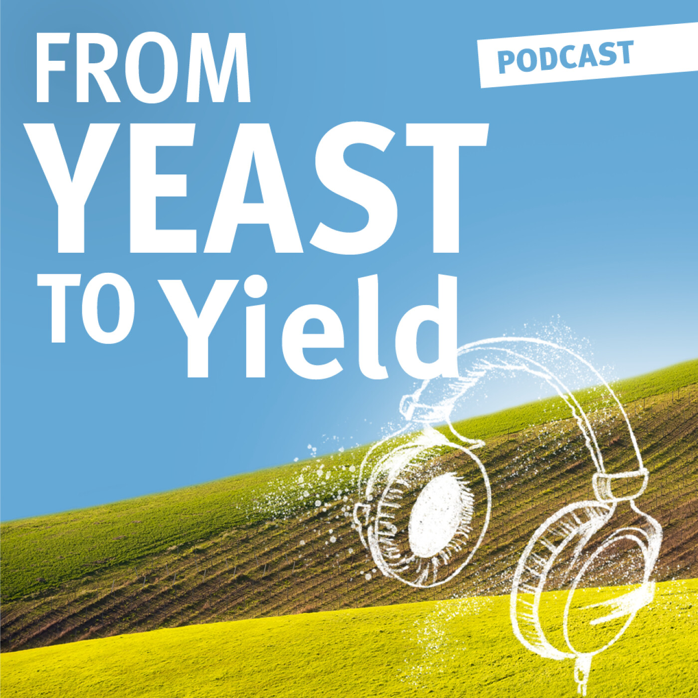 From yeast to yield