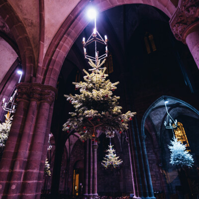 Noël dans la région de Sélestat-Haut-Koenigsbourg cover