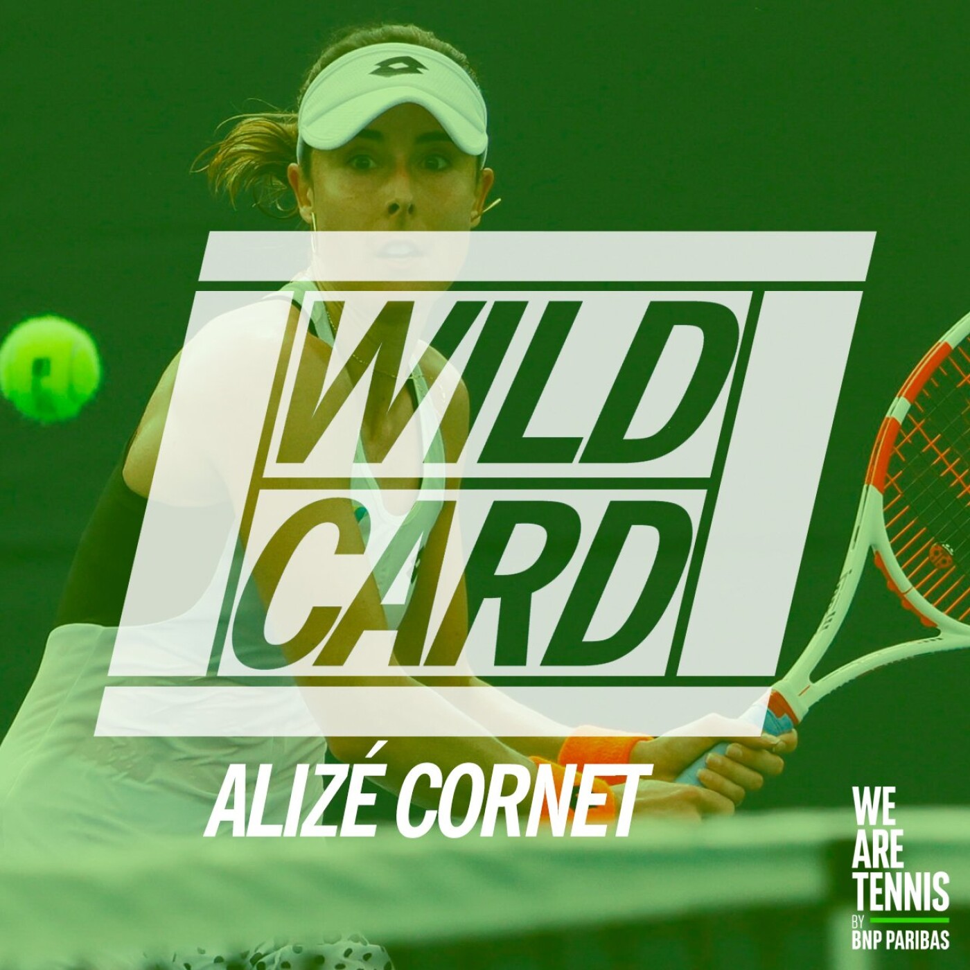 WILD CARD
