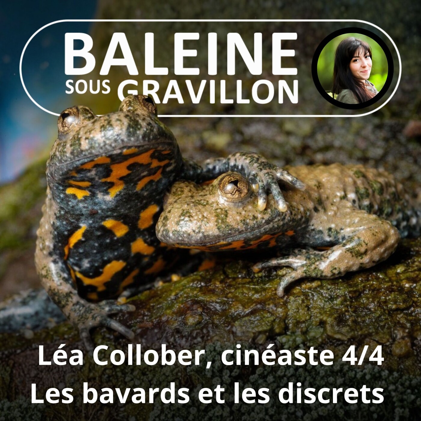 S02E51 Léa Collober, cinéaste 4/4 : 1 Bavard et 2 discrets, Geai, Crapaud sonneur, Genette episode artwork