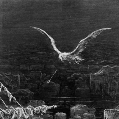 L'Albatros cover