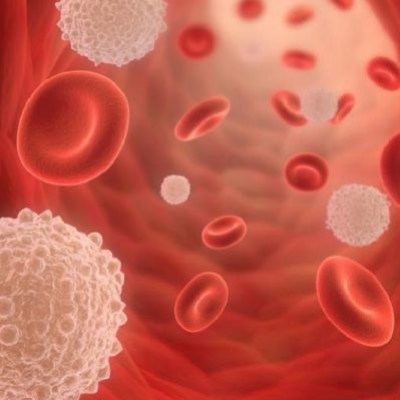 100.000 milliards de cellules dans notre corps ! cover