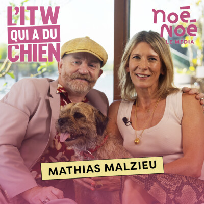 Mathias Malzieu : quand les chats aident à réparer les épreuves de la vie - Noé Noé le Média cover