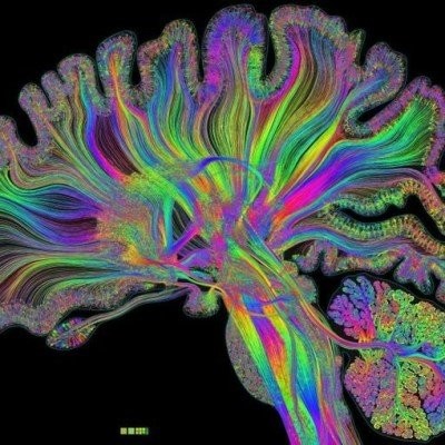 #05_Y-a-t-il un chef d'orchestre dans notre tête ? cover