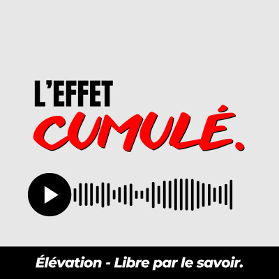 14. L'Effet Cumulé (Darren Hardy) cover
