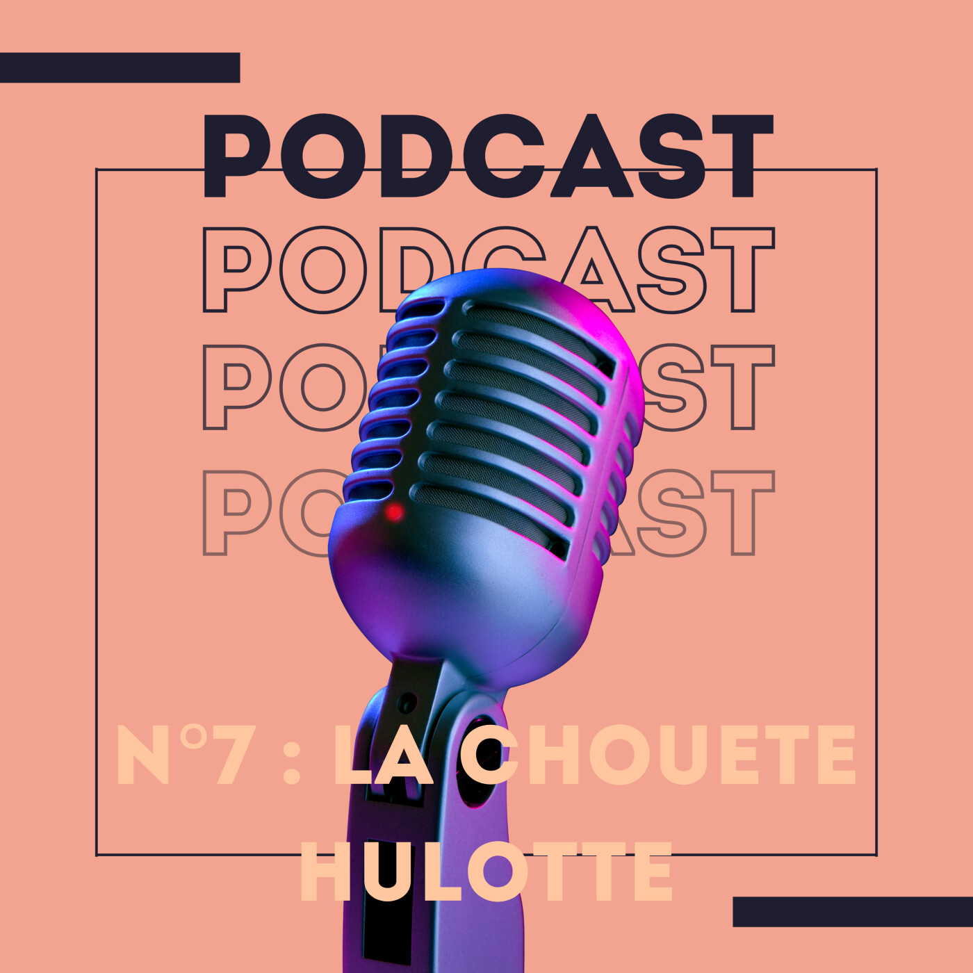 Nocturnes Murmures : À la rencontre de la Chouette Hulotte episode artwork