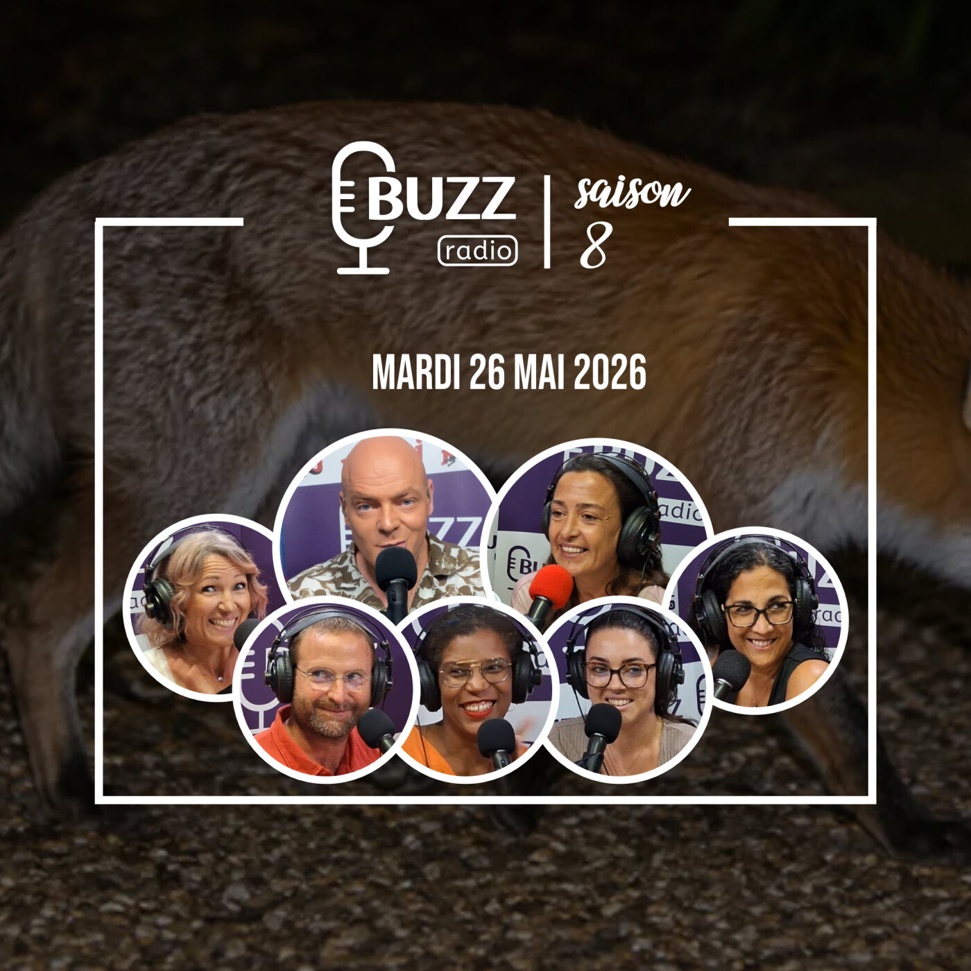 Mardi 26/05/2026 - Chasse aux Fake News, des histoires d'animaux malins episode artwork