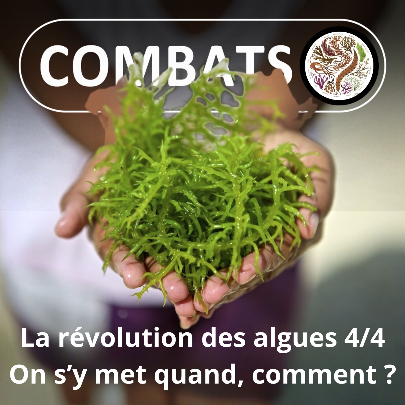 HORS-SÉRIE La révolution des algues 4/4 : On s'y met quand... et comment ?