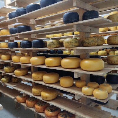Beauséjour, du Gouda au lait cru en sud gironde cover