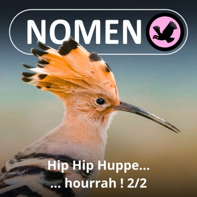 S04E34 Hip hip Huppe hourrah ! 2/2 cover