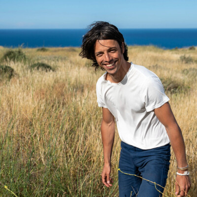 NDJ NEO MATHIEU DES LONGCHAMPS Le vert et le bleu cover