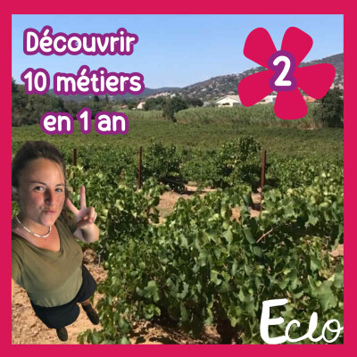 #11 [Série] Découvrir 10 métiers en 1 an | 2/10 : l'univers du vin dans le sud de la France cover