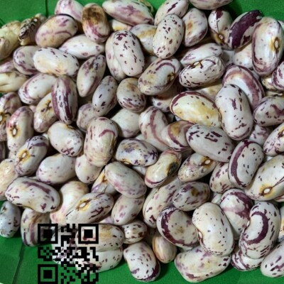 Episode - 10 - Viandes, acides aminés et protéines cover