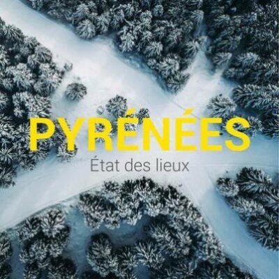 Pyrénées, état des lieux cover