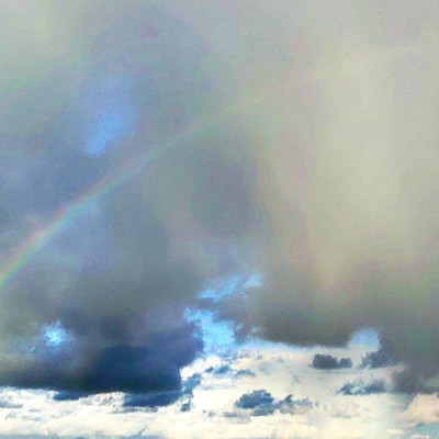 La Vie est un Risque .. But Life is Alive cover