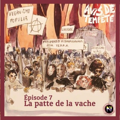 avis de tempete #7 cover