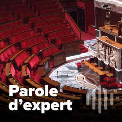 Adoption par les députés de la loi de financement de la Sécurité sociale, l’entretien de parcours professionnel et les réclamations fiscales cover