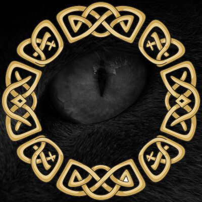 Le Chat qui Enseignait la Méditation - Épisode 01 cover