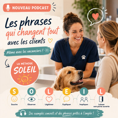 #2026 : E52 - Les phrases magiques de l'ETE avec la méthode SOLEIL cover