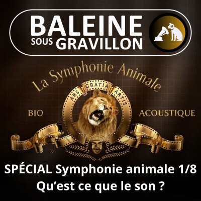 BEST OF D'ÉTÉ #35 La Symphonie animale 1/8 : C'est quoi le son ? (Nicolas Mathevon, bioacousticien) cover