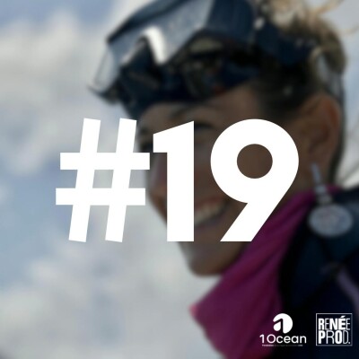 Plongeon au milieu des coraux cover