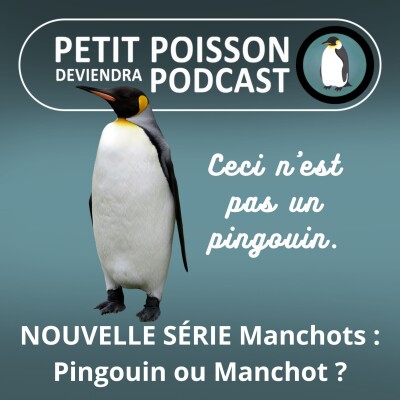 S05E10 NOUVELLE SÉRIE Manchots : Pingouin ou Manchot, quelle différence ? (Mathilde Chevallay) cover