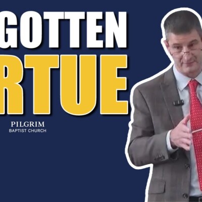 What Is Shamefacedness? Biblical Modesty Through Ruth's Example cover